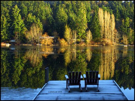 Wallpaper Landscape Forest Lake Nature Reflection