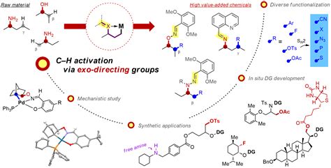 exo-Directing C-H Activation | Dong Research Group
