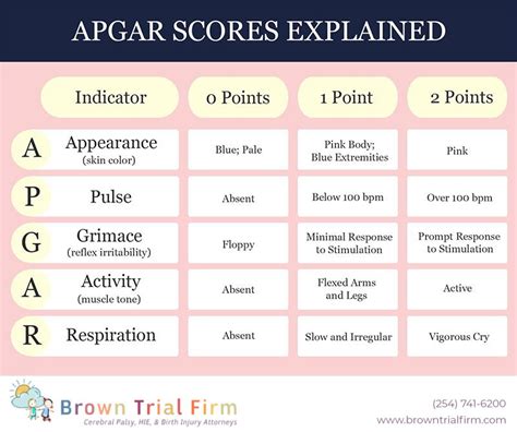 Understanding Apgar Score For Birth Injury Evaluation 2022