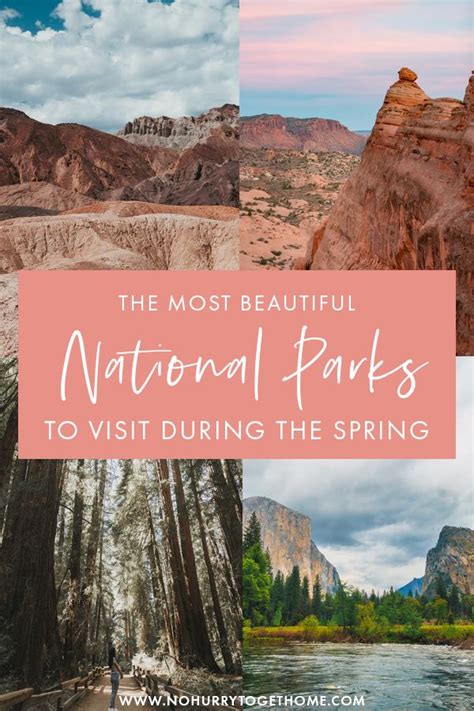Best National Parks To Visit In The Spring For An Unforgettable Trip