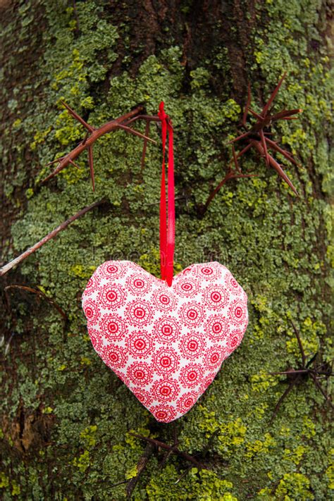 Love Heart Hanging On A Tree Natural Background Stock Image Image