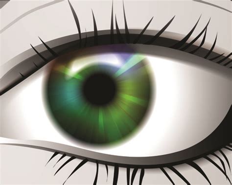 Beautiful Eyes Vector Graphic Vectors Graphic Art Designs In Editable