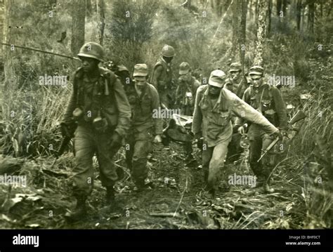 Cavalrymen Carry Wounded Comrade In Jungle Vietnam War 1st Cavalry