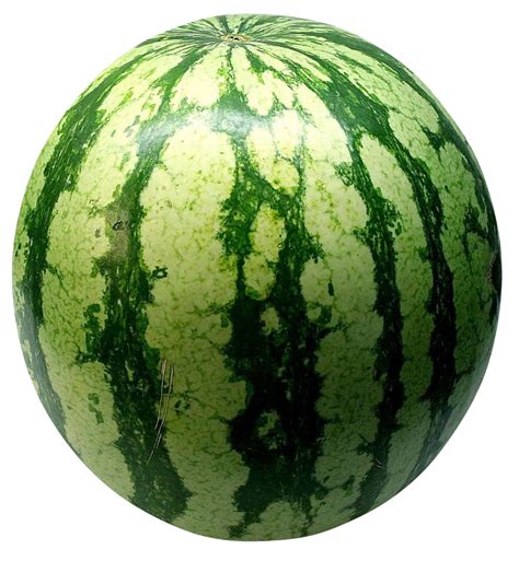 Big Green Watermelon Png Image Purepng Free Transparent Cc0 Png