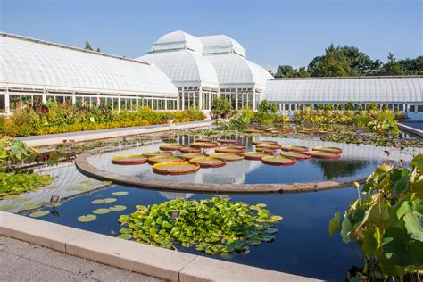 The new york botanical garden is known for its. New York Botanical Garden | Bronx, NY 10458 | New York ...