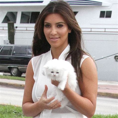 Celebrity Pets Popsugar Celebrity