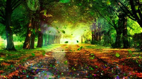 Gorgeous Beautiful Dreamy Romantic Colorful Forest Photography