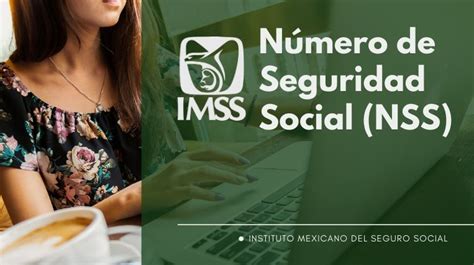 Pasos Para Obtener Tu Nss Del Imss Online Imss My Xxx Hot Girl