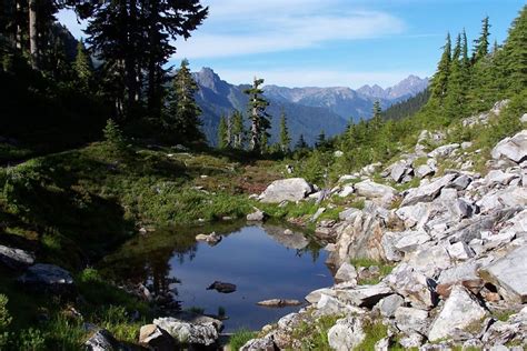 Olympic National Park One Of The Wildest Places Left In The Usa 36 Pics