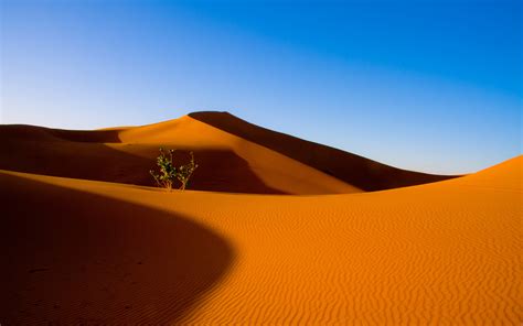 Download Desert Puter Wallpaper Desktop Background Id By Alyssaray