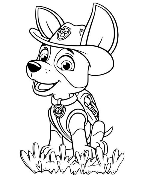 Kostenlose ausmalbilder und malvorlagen zum drucken ffuerr kinder. Kleurplaat Skye Paw Patrol Paw Patrol 3 Ausmalbilder Kostenlos - kleurplatenl.com