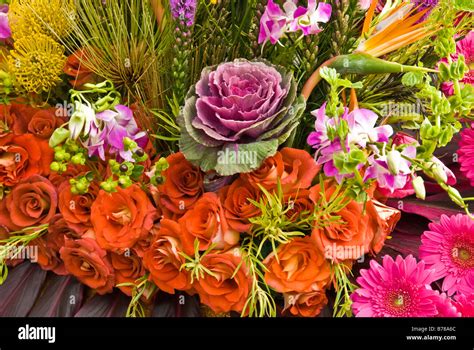 Protea Fresh Tropical Flower Dark Orange Roses Ecuadorian Rose Copper