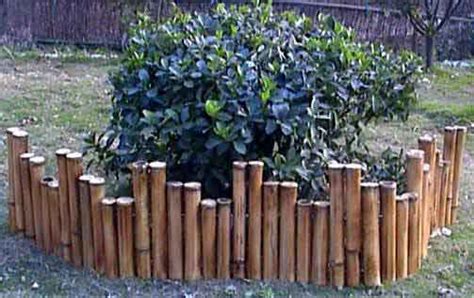 Bamboo Border And Edging