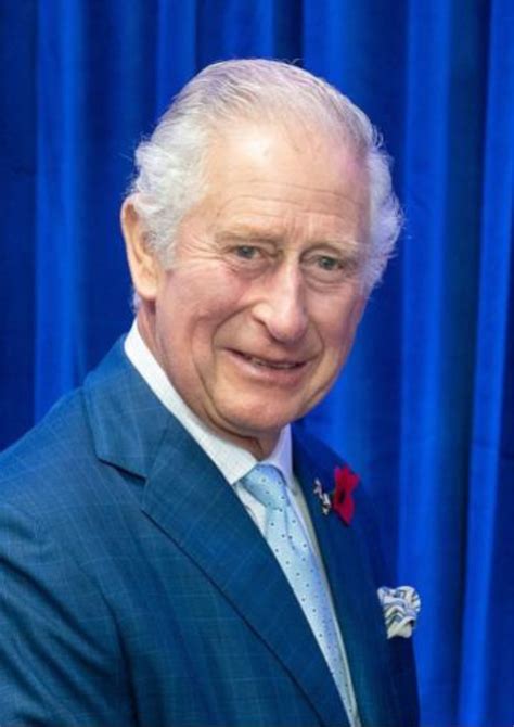 King Charles Prince Charles British Royals Prince Williamprince