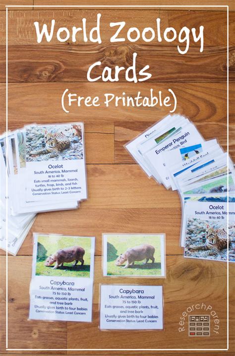 World Zoology Cards - ResearchParent.com