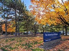 Exploring Fall Foliage In Ann Arbor, Michigan - DewanGibson.Com