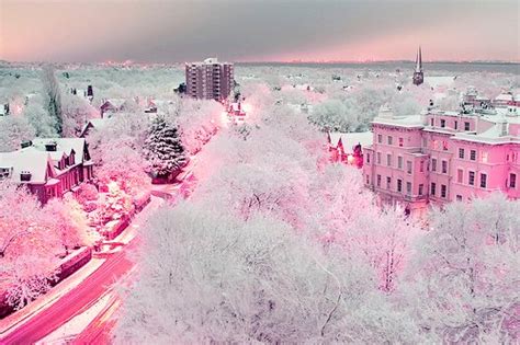 Beautiful Pink Scenery Winter Image 438890 On
