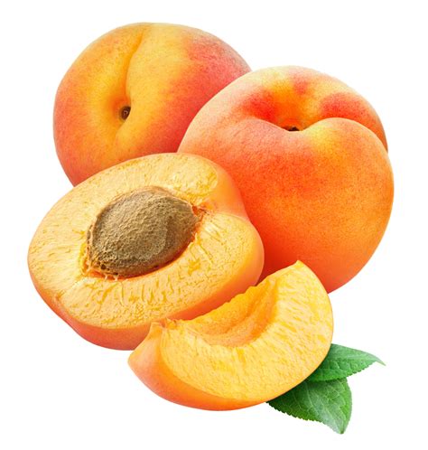 Hq Apricot Png Transparent Apricotpng Images Pluspng