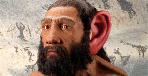 Neanderthal C