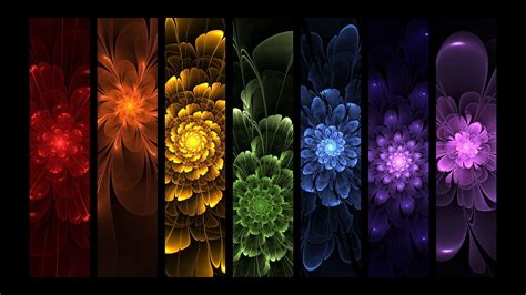 Rainbow Flowers Wallpapers Top Free Rainbow Flowers Backgrounds WallpaperAccess