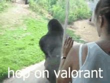 Hop On GIF Hop On Valorant Discover Share GIFs