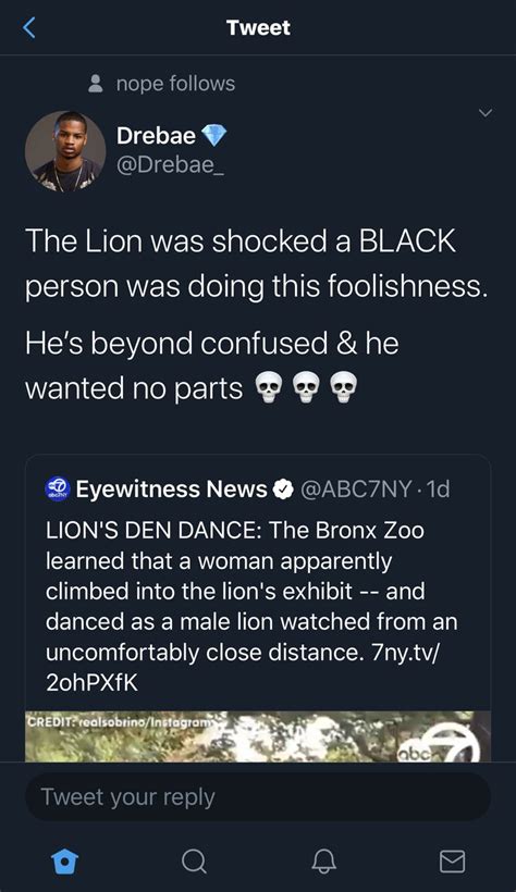 Lmboooooo Male Lion Bronx Zoo Black Person