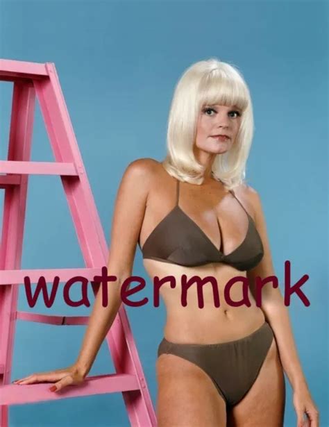 famous actress carol wayne in vintage 1960s pin up photoshoot publicity photo 8 99 picclick