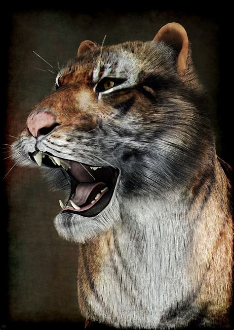 Majestic Beast By Maynard Ellis Redbubble