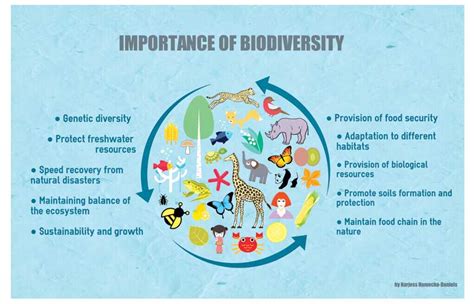 The Importance Of Biodiversity