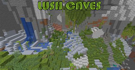 How To Find A Lush Cave In Minecraft Player Assist Game Guides