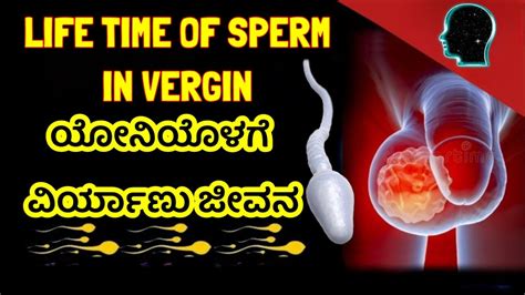 How Long Can Sperm Survive In The Female Body The Surprising Truth About Sperm Lifespan Youtube