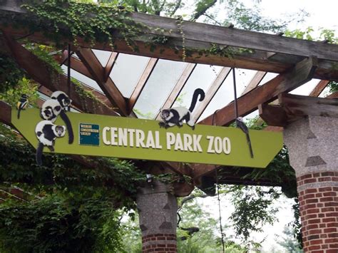 Nyc Central Park Zoo And Nyc Sigtheseeing Walking Tour