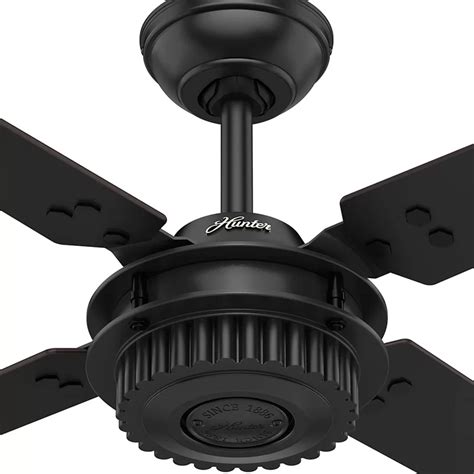 Ground clearance enables an indoor residential mounting option. 54" Chronicle 4 Blade Ceiling Fan | Black ceiling fan ...
