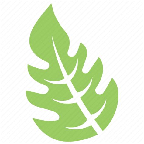 Green leaf, leaf, leaf design, leaf shape, oak leaf icon - Download on ...