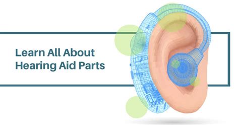Hearing Aids 101 Parts Functions And Types Of Hearing Aids