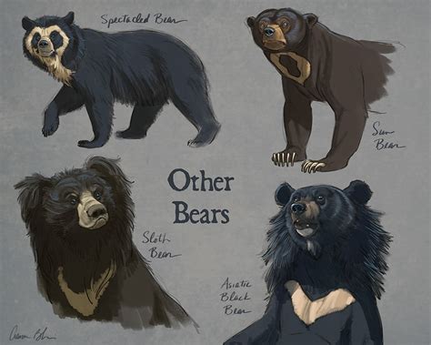 How To Draw Bears Tutorial And Video Lessons With Aaron Blaise