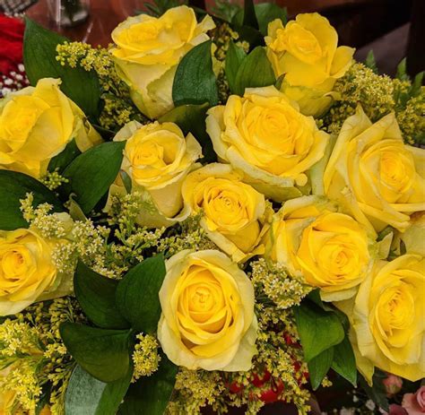 Farm Choice Yellow Rose Yellow Rose Bouquet Roses For Sale Bulk