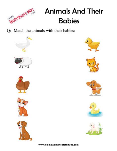 Animal And Their Babies Worksheet For Grade 1 4