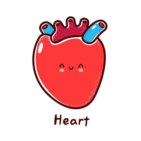 Cute Happy Funny Human Heart Organ Character In 2021 Heart Organ