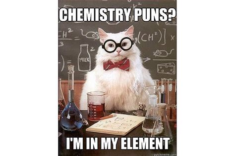 Best Of Chemistry Cat The Science Meme