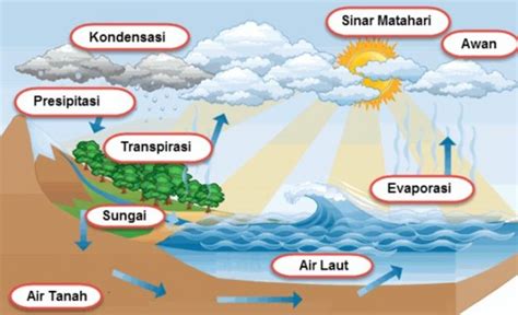 Tahapan Pada Siklus Air Dan Bencana Imagesee