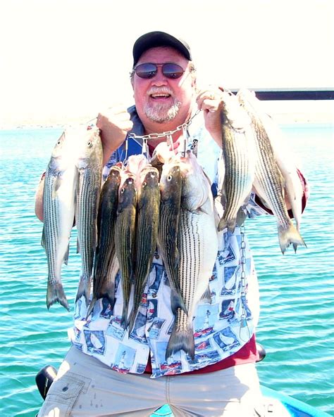 Professional Arizona Fishing Guides On Pleasant Bartlett Roosevelt