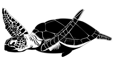 Sea Turtle Stock Vectors Clipart And Illustrations