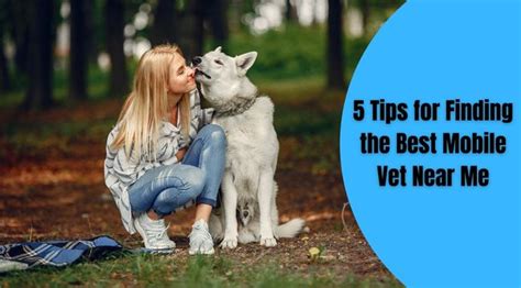 4 Important Things Every First Time Dog Owner Should Know