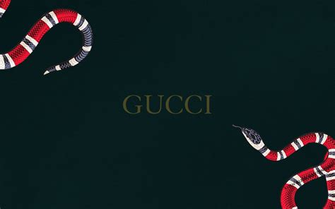 Free Download Gucci Supreme Laptop Wallpapers Top Gucci Supreme Laptop 1920x1080 For Your