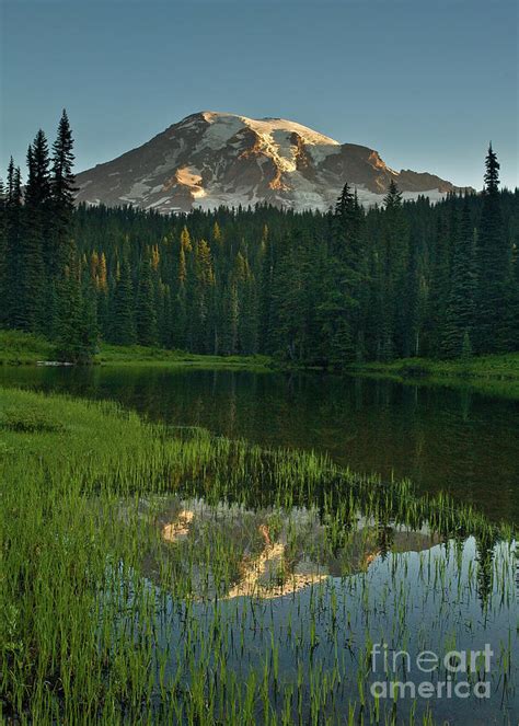 Mount Rainier Dawn Reflection Photograph By Mike Reid Pixels