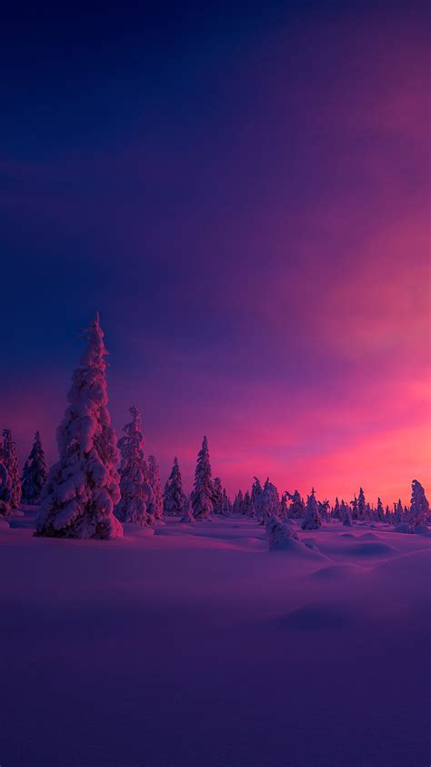 Winter Sunset Snow Hd Phone Wallpaper Peakpx