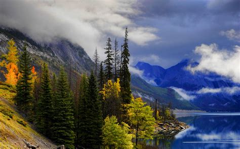 Download Wallpaper 2560x1600 Landscape Lake Mountains Trees Slope Path Widescreen 1610 Hd