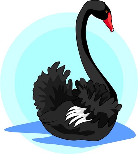 Black Swan Clipart Clipartfest 3 Clipartix