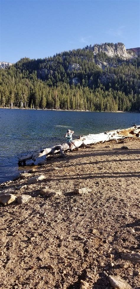 Horseshoe Lake Mammoth Lakes 2019 All You Need To Know Before You